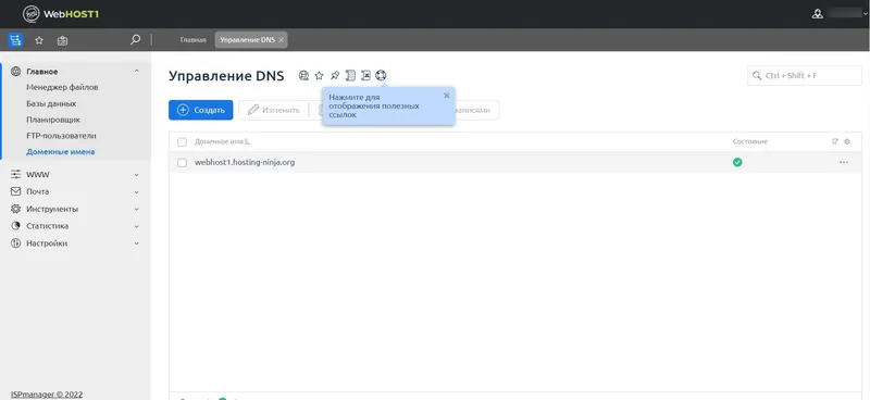 Страница управления DNS записями