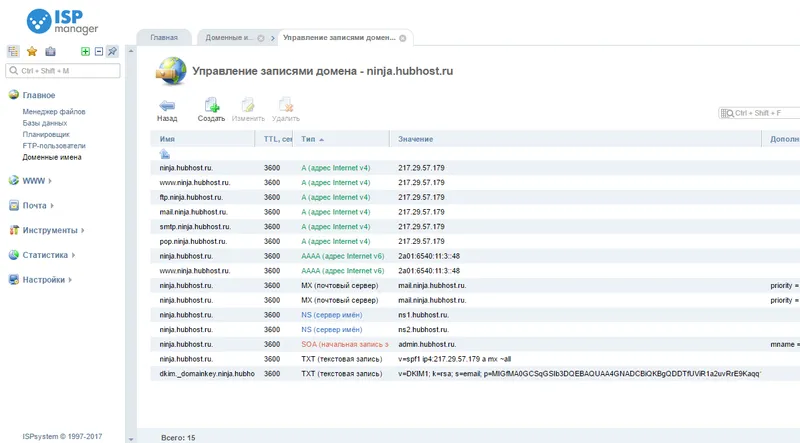 Редактор записей DNS на хостинге Hubhoost.ru