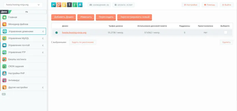 Страница добавления нового домена на хостинге Hostia.ru