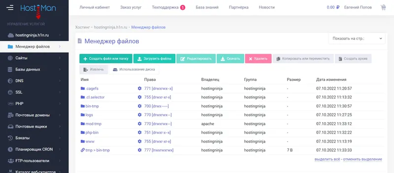 Менеджер файлов панели управления хостингом Hostiman.ru