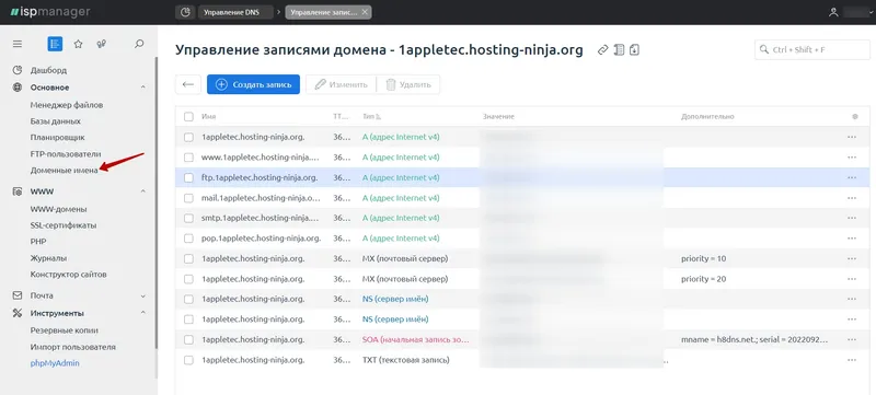 Редактор DNS записей на хостинге Appletec