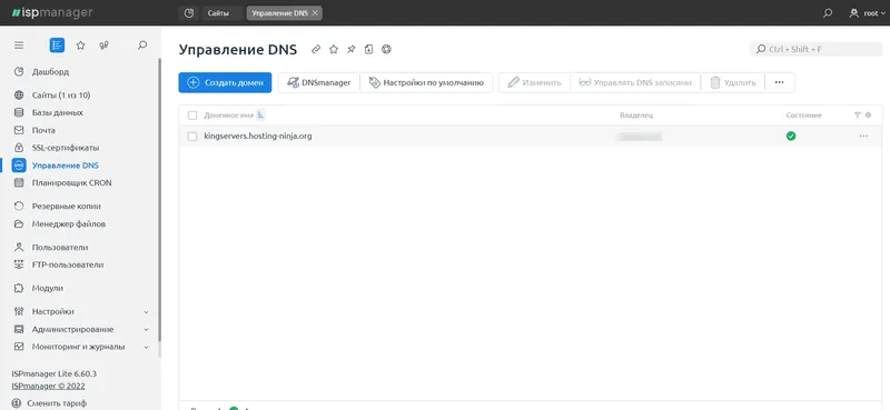 Редактор DNS записей на хостинге king-servers.com