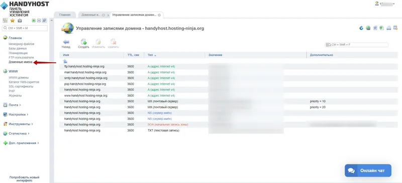 Работа с записями DNS на хостинге HandyHost
