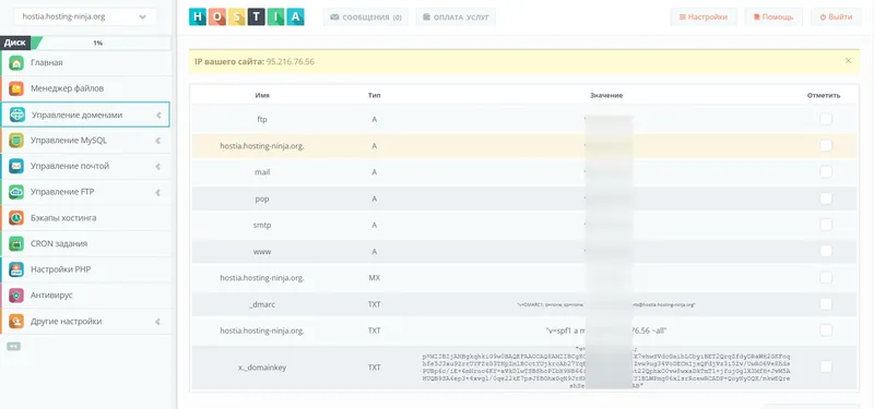 Редактор DNS зон на хостинге Hostia.ru