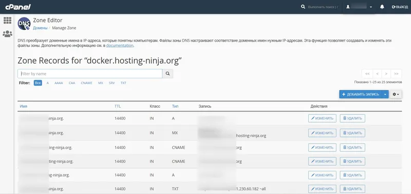 Редактор DNS записей